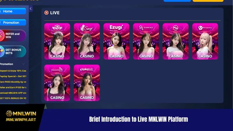 Brief Introduction to Live MNLWIN Platform