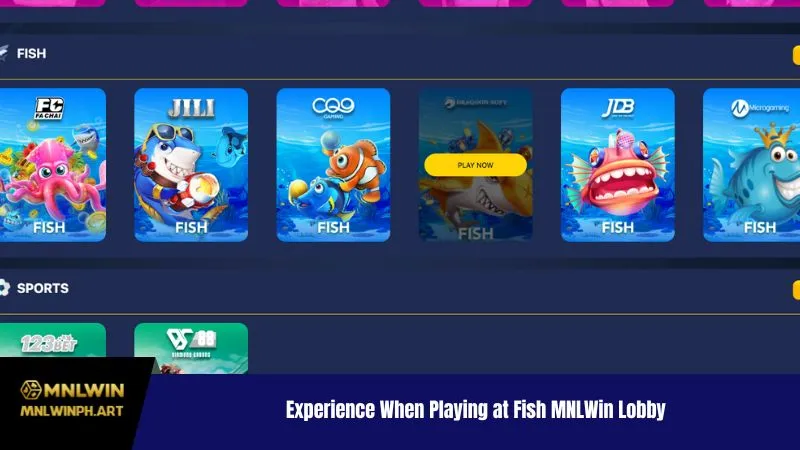 Experience When Playing at Fish MNLWin Lobby